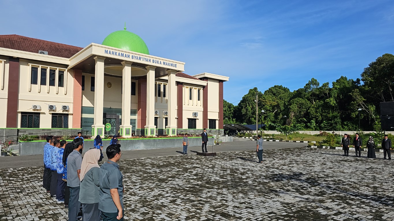 DJI 20231110 080943 272 Medium