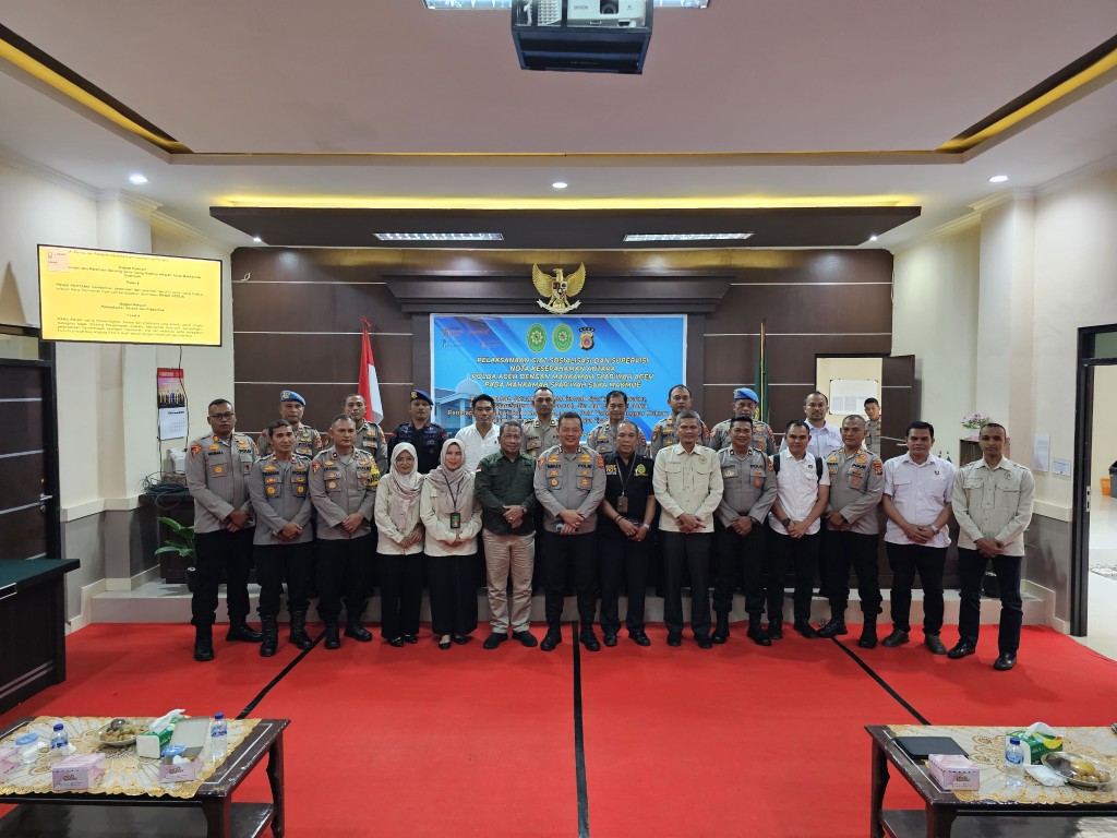 20250205 152312 Medium